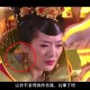 word2019官方下载免费版电脑版
